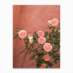 Pink Roses Blossom Canvas Print