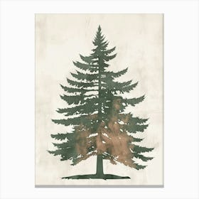 Sequoia Tree Minimal Japandi Illustration 3 Canvas Print