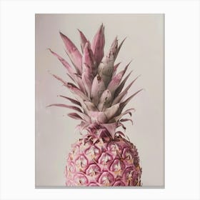 Pink Pineapple 3 Canvas Print