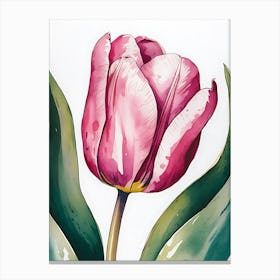 Pink Tulip 5 Canvas Print