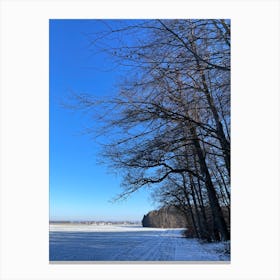 Winter Landscape 14 Canvas Print