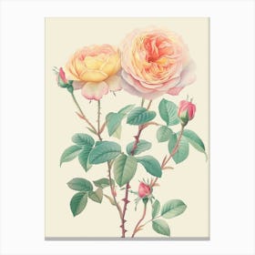 English Roses Painting Sketch Style 1 Canvas Print