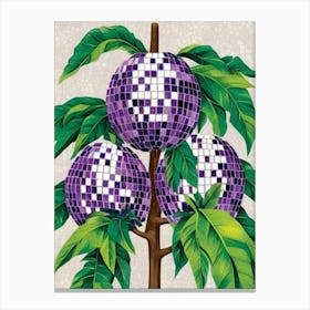 Purple Pomegranate Canvas Print