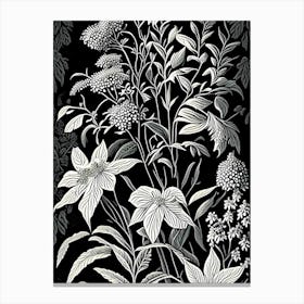 Mountain Mint Wildflower Linocut 2 Canvas Print