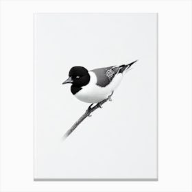 Bufflehead B&W Pencil Drawing 1 Bird Canvas Print