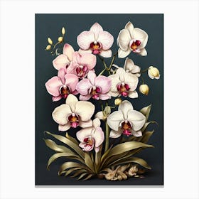 Orchids Flower Illustration Art Print 2 Canvas Print
