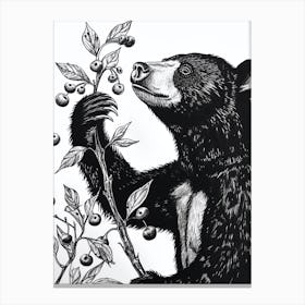 Malayan Sun Bear Standing And Reaching For Berries Ink Illustration 4 Canvas Print