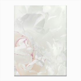 Poppy Leaves White_2314108 Canvas Print
