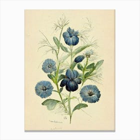 Blue Flowers Farmhouse Botanical Canvas Print
