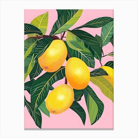 Yellow Pomegranate Canvas Print