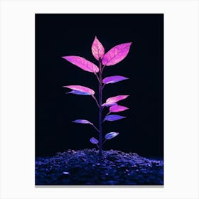 Plant In The Dark 16 Canvas Print