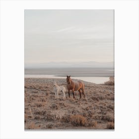 Mama And Baby Horse Canvas Print
