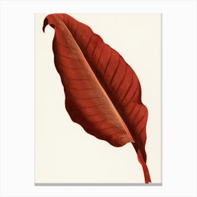 Red Banana Leaf Canvas Print