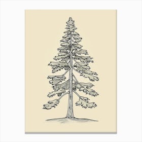 Douglas Fir Tree Minimalistic Drawing 1 Canvas Print