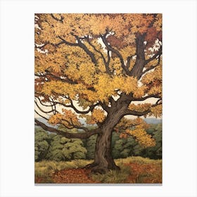 American Elm 2 Vintage Autumn Tree Print  Canvas Print