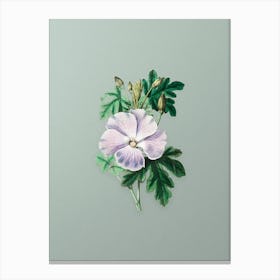 Vintage Wray's Hibiscus Flower Botanical Art on Mint Green Canvas Print