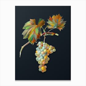 Vintage Grape Vine Botanical Watercolor Illustration on Dark Teal Blue n.0548 Canvas Print