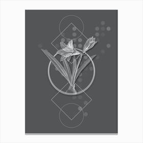 Vintage Hippeastrum Botanical with Line Motif and Dot Pattern in Ghost Gray Canvas Print