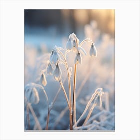 Frosty Botanical Snowdrop 3 Canvas Print