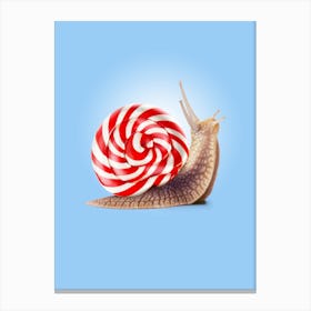 Snail Candy Canvas Print