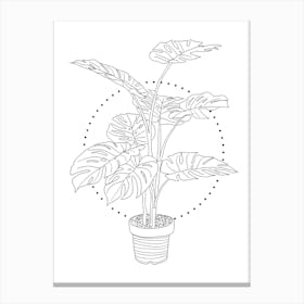 Monstera Botanical Line Drawing Canvas Print