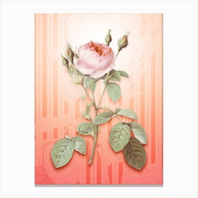 Double Moss Rose Vintage Botanical in Peach Fuzz Awning Stripes Pattern n.0058 Canvas Print