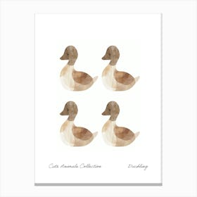 Cute Animals Collection Duckling 1 Canvas Print