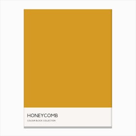 Honeycomb Colour Block Poster Canvas Print