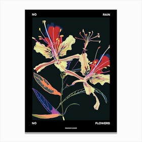 No Rain No Flowers Poster Peacock Flower 3 Canvas Print