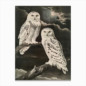 Snowy Owls 8 Canvas Print