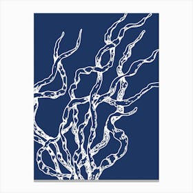 Coral Tree 2 Canvas Print