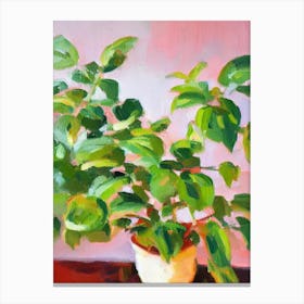 Fittonia 3 Impressionist Painting Plant Canvas Print