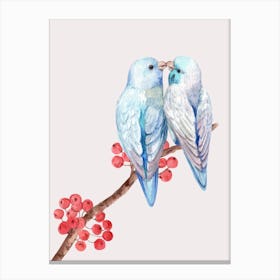 Kissing Parakeet Couple,Scarlet Berries branch. Canvas Print