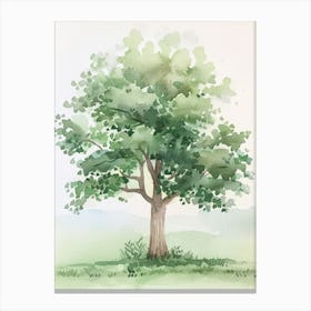 Paulownia Tree Atmospheric Watercolour Painting 6 Canvas Print