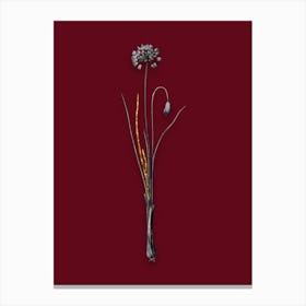 Vintage Autumn Onion Black and White Gold Leaf Floral Art on Burgundy Red n.0667 Canvas Print