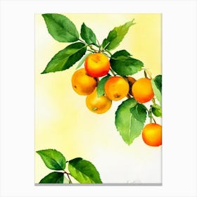 Golden Berry Italian Watercolour fruit Canvas Print