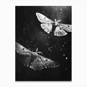 Moths In Flight Canvas Print