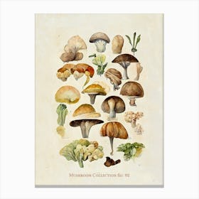 Mushroom Collection 02 Canvas Print