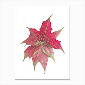 Poinsettia Leaf Canvas Print