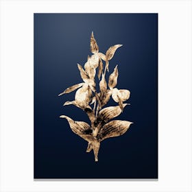 Gold Botanical Sabot des Alpes on Midnight Navy n.0960 Canvas Print