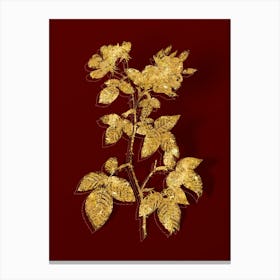 Vintage Red Bramble Leaved Rose Botanical in Gold on Red n.0206 Canvas Print