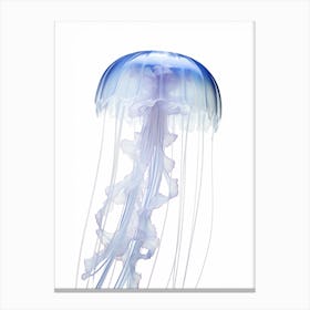 Box Jellyfish Watercolour Painting 2 Canvas Print
