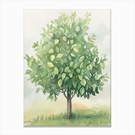 Lemon Tree Atmospheric Watercolour Painting 3 Canvas Print