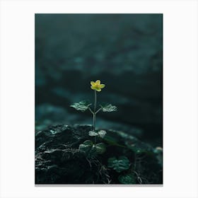 Flower On A Rock 8 Canvas Print