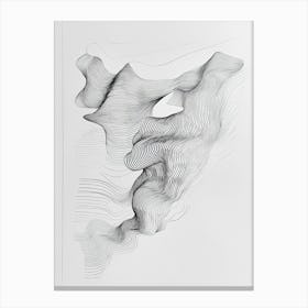 Abstract Line Drawing 5 Canvas Print