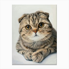 Scottish Fold Cat Painting 2 Canvas Print