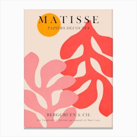 Floral matisse 5 Canvas Print