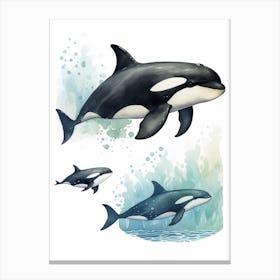Orca Whale Pod Illustration 2 Canvas Print