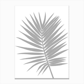 Grey Palm Leaf Large Canvas Print