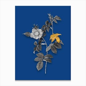 Vintage Dog Rose Black and White Gold Leaf Floral Art on Midnight Blue n.0351 Canvas Print